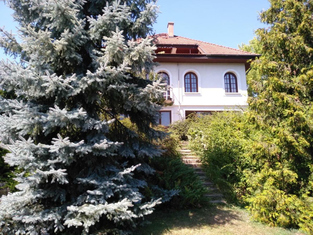 Co-Housing Community Hotel Budakalász Zewnętrze zdjęcie