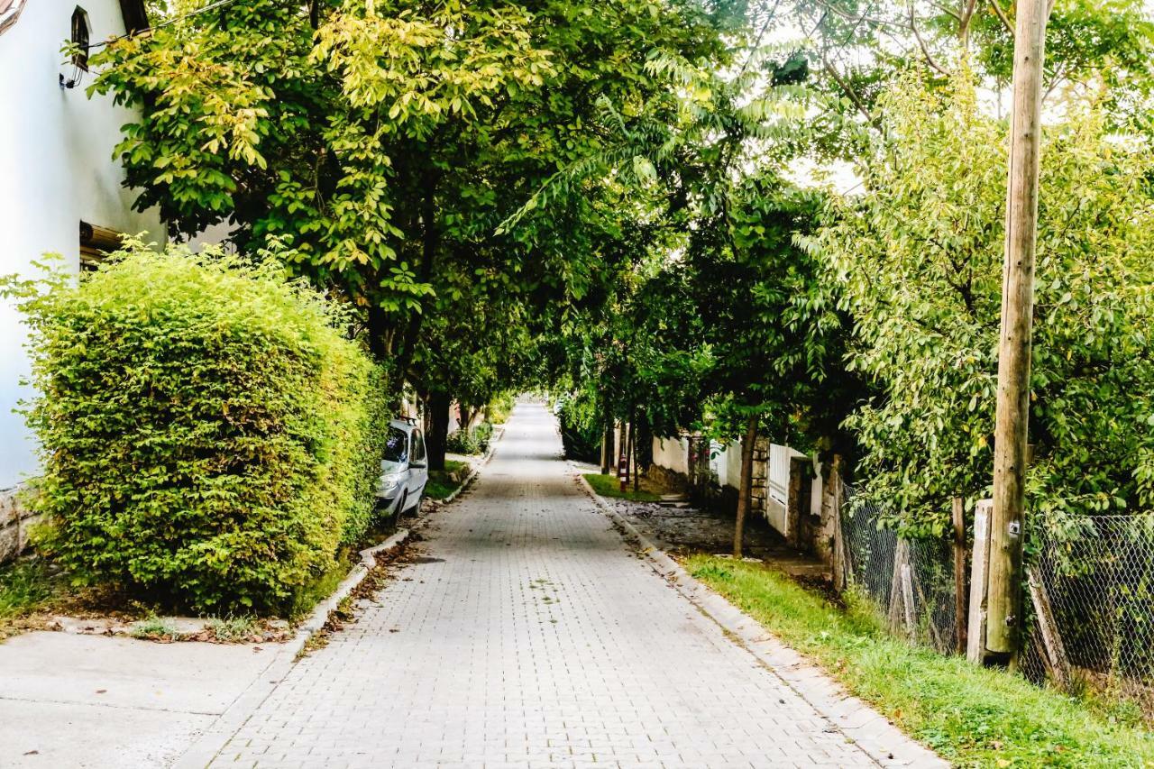 Co-Housing Community Hotel Budakalász Zewnętrze zdjęcie